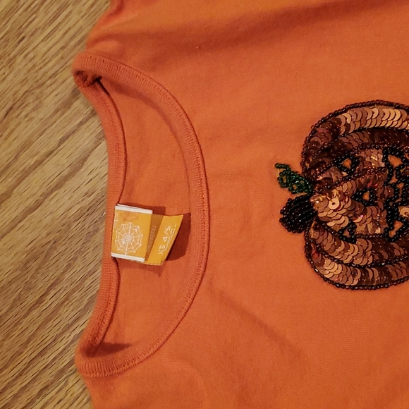 Orange Sequence Pumpkin Long Sleeve T Shirt - Picture 5 of 9
